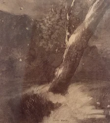 Baum und Sterne